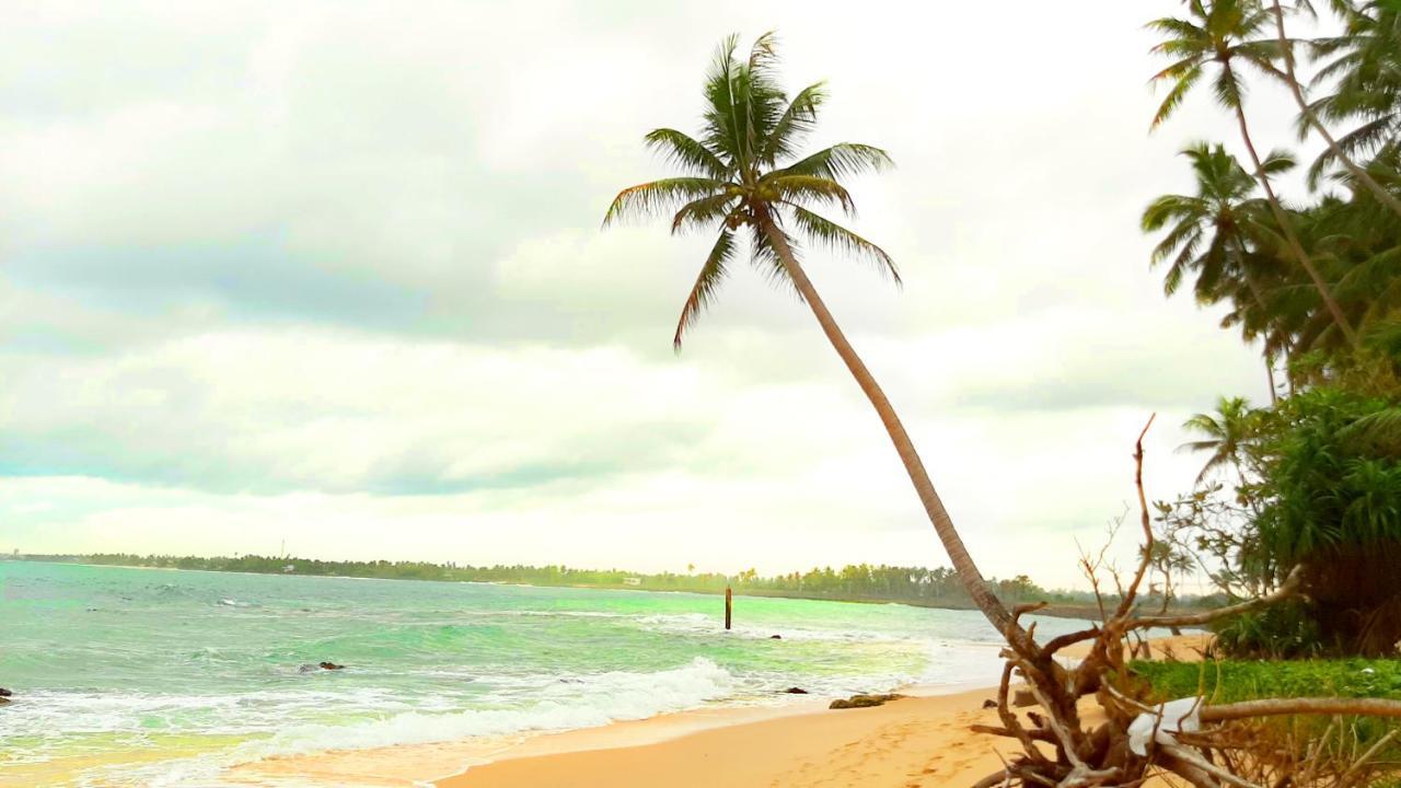 Akurala Beach Boutique Resort 外观 照片