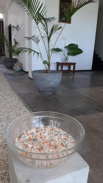 Akurala Beach Boutique Resort 外观 照片