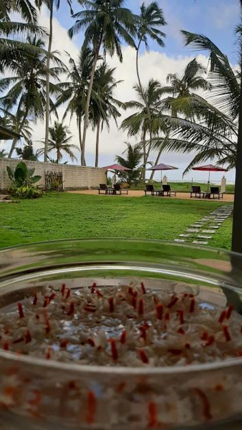 Akurala Beach Boutique Resort 外观 照片