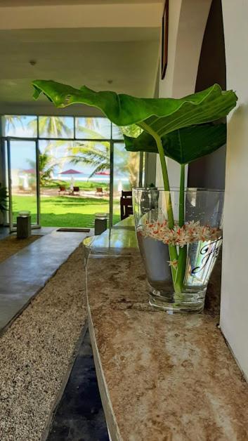 Akurala Beach Boutique Resort 外观 照片
